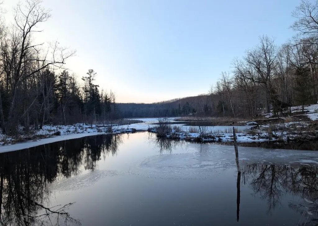 11401 Little George Lake Road Franklin Township MI 48624
