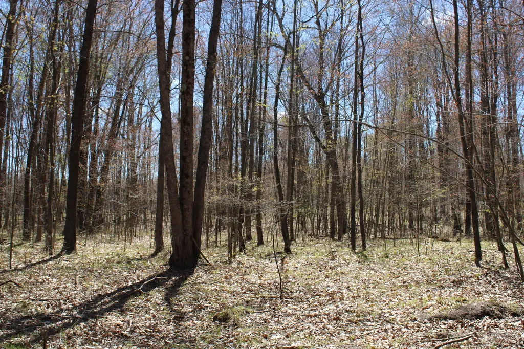 11401 Little George Lake Road Franklin Township MI 48624