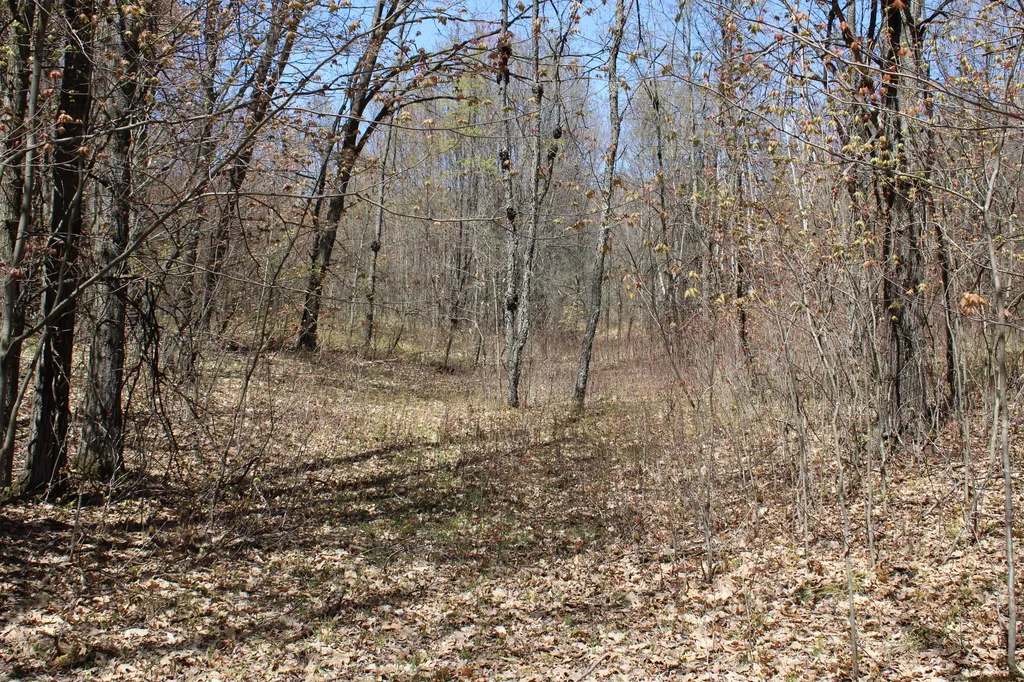 11401 Little George Lake Road Franklin Township MI 48624