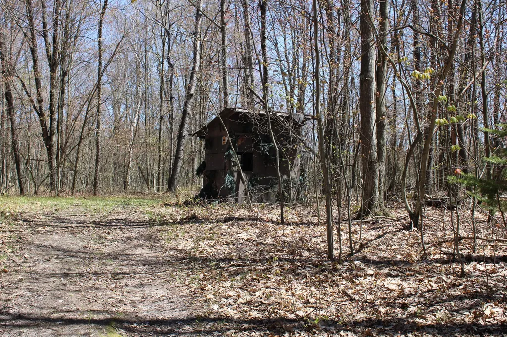 11401 Little George Lake Road Franklin Township MI 48624