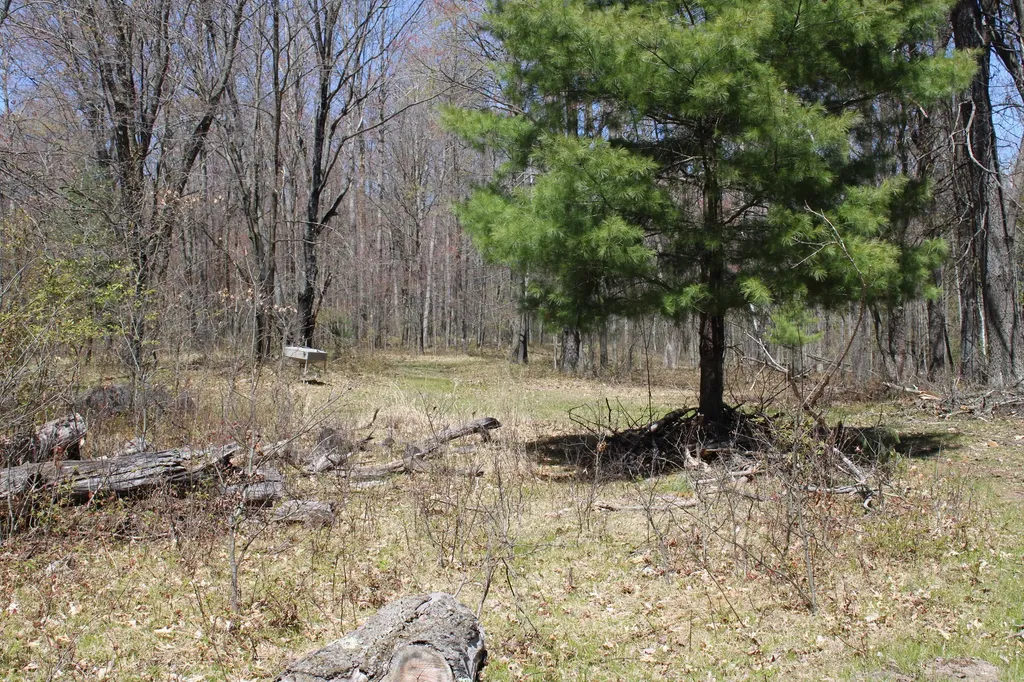 11401 Little George Lake Road Franklin Township MI 48624