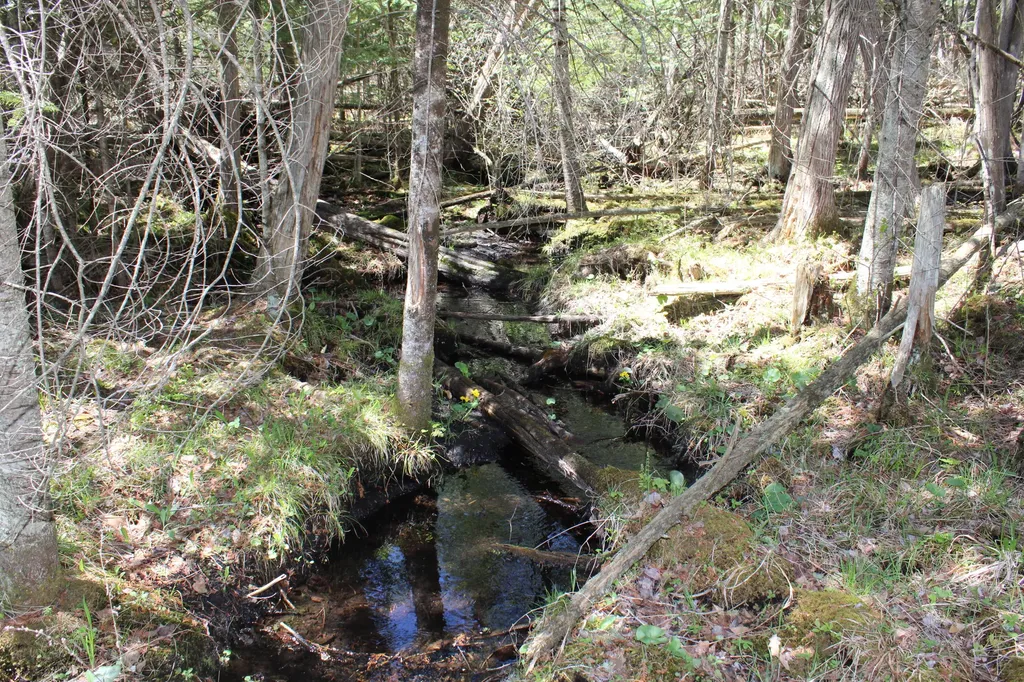 11401 Little George Lake Road Franklin Township MI 48624