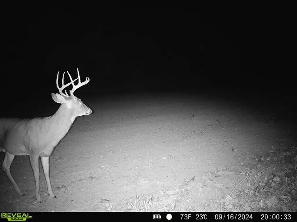 11401 Little George Lake Road Franklin Township MI 48624