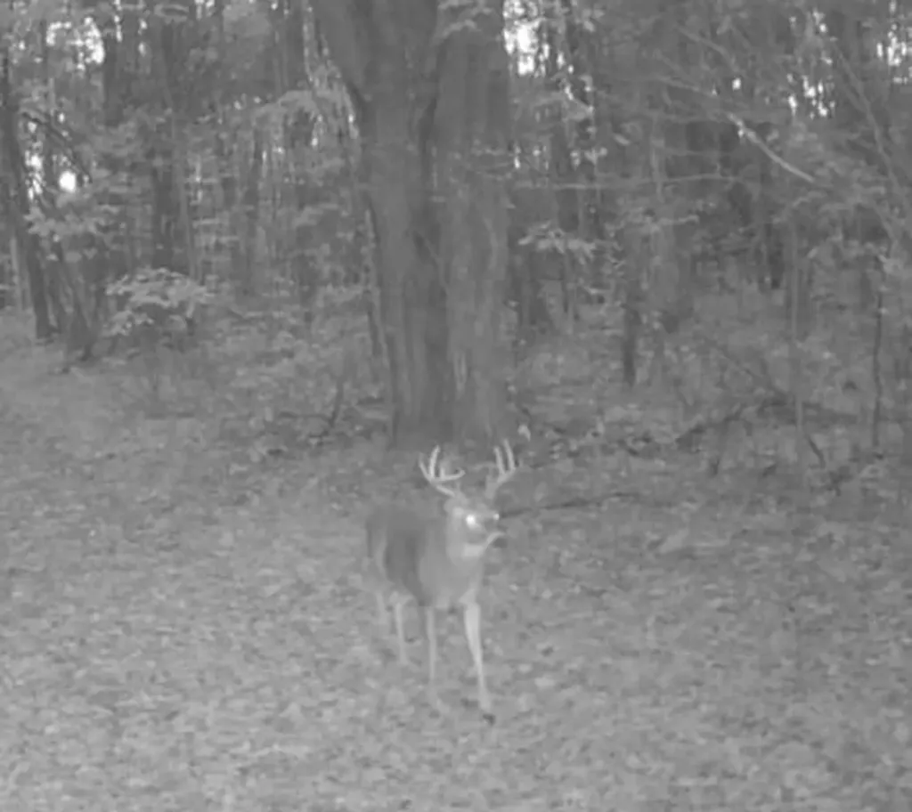 11401 Little George Lake Road Franklin Township MI 48624