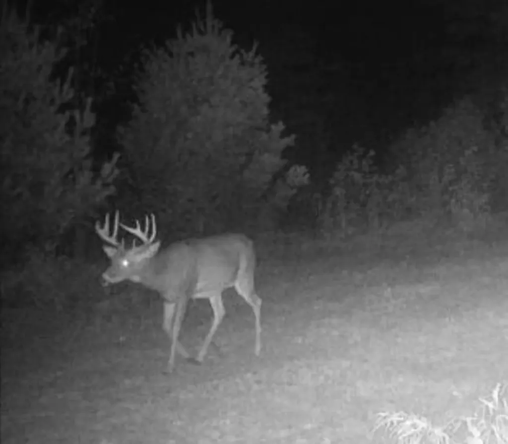 11401 Little George Lake Road Franklin Township MI 48624