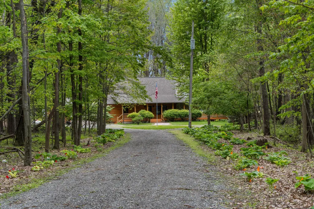 12215 Goffe Road Pulaski Township MI 49250