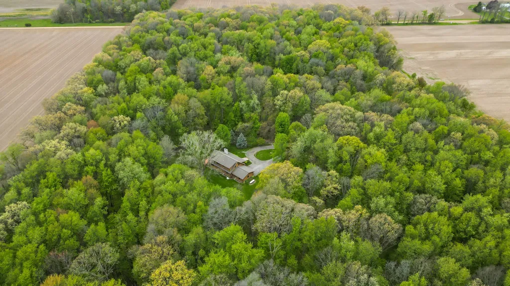 12215 Goffe Road Pulaski Township MI 49250