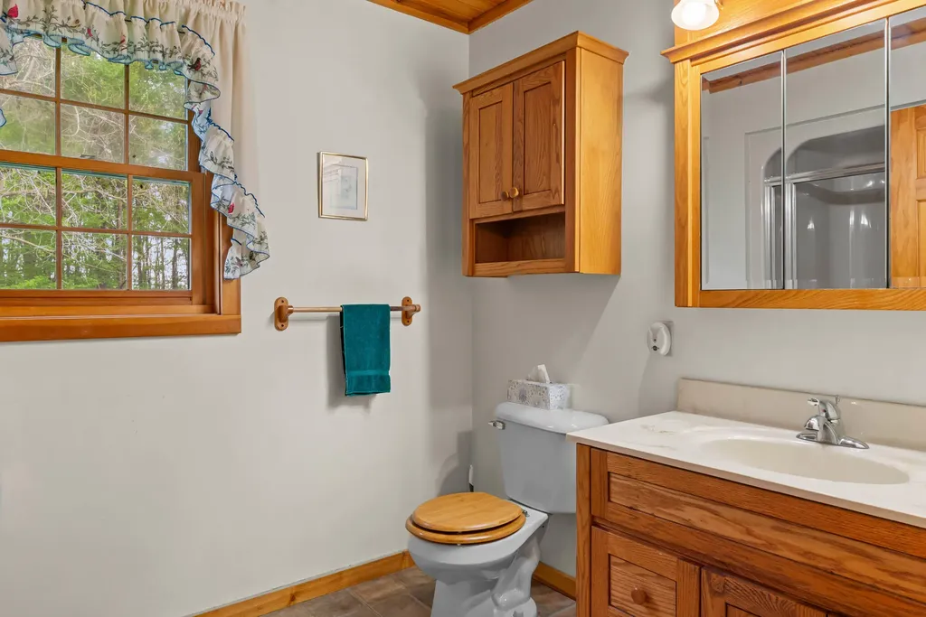 12215 Goffe Road Pulaski Township MI 49250