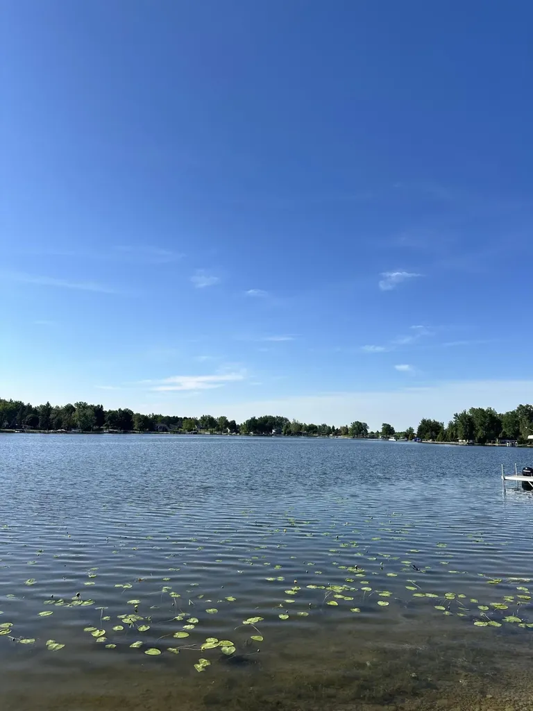 357 Plank Road Rollin Township MI 49247