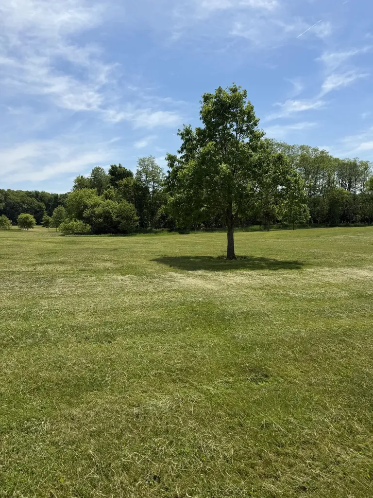 1111 N Lake Pleasant Road Adams Township MI 49242