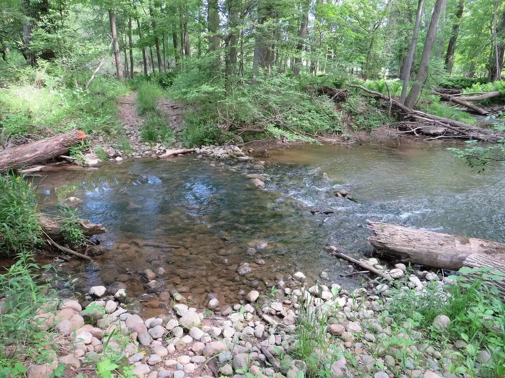 4670 Rescue Road Grant Township MI 48754