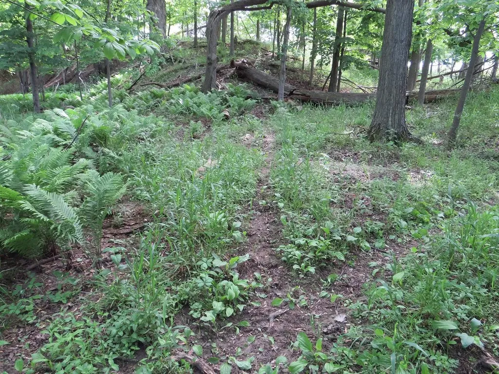 4670 Rescue Road Grant Township MI 48754
