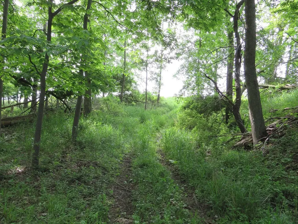 4670 Rescue Road Grant Township MI 48754