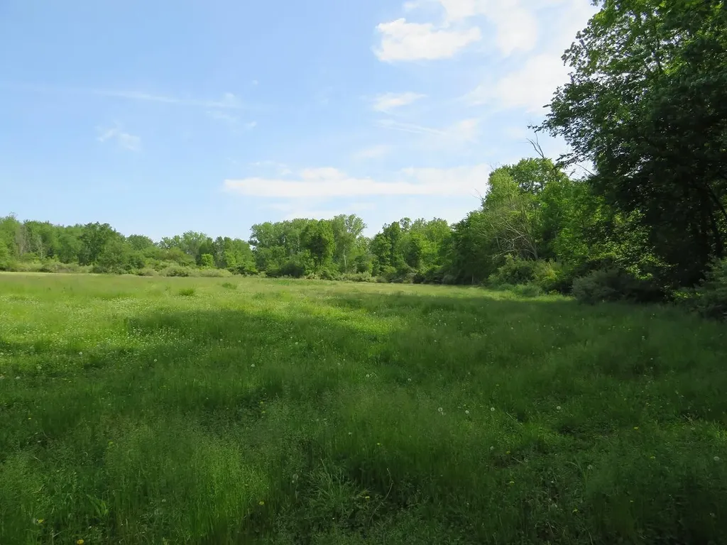 4670 Rescue Road Grant Township MI 48754