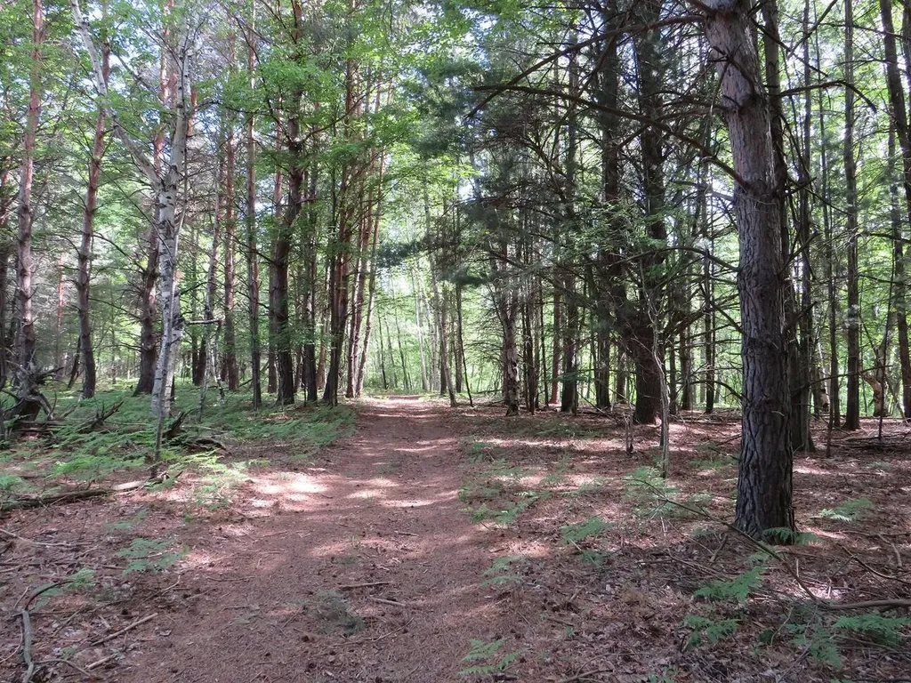 4670 Rescue Road Grant Township MI 48754