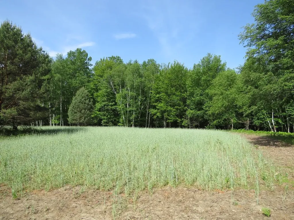 4670 Rescue Road Grant Township MI 48754