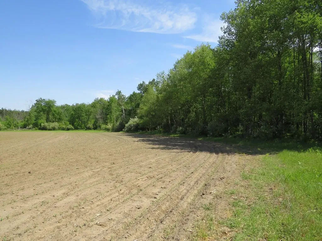 4670 Rescue Road Grant Township MI 48754