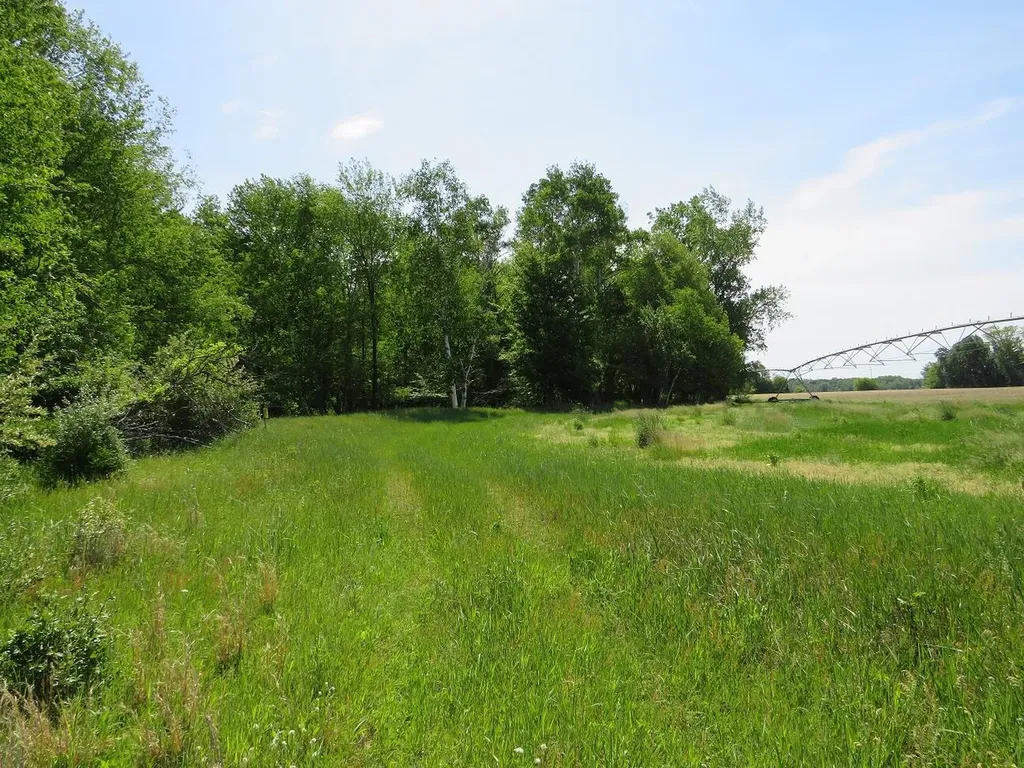 4670 Rescue Road Grant Township MI 48754