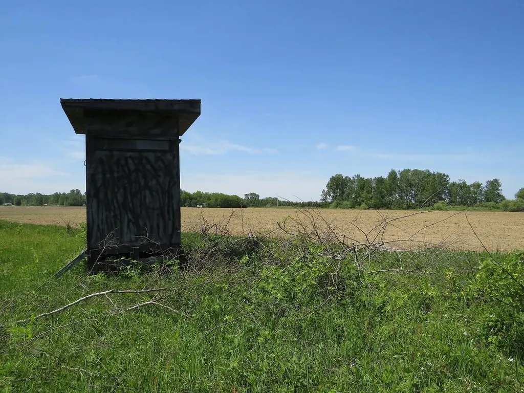 4670 Rescue Road Grant Township MI 48754