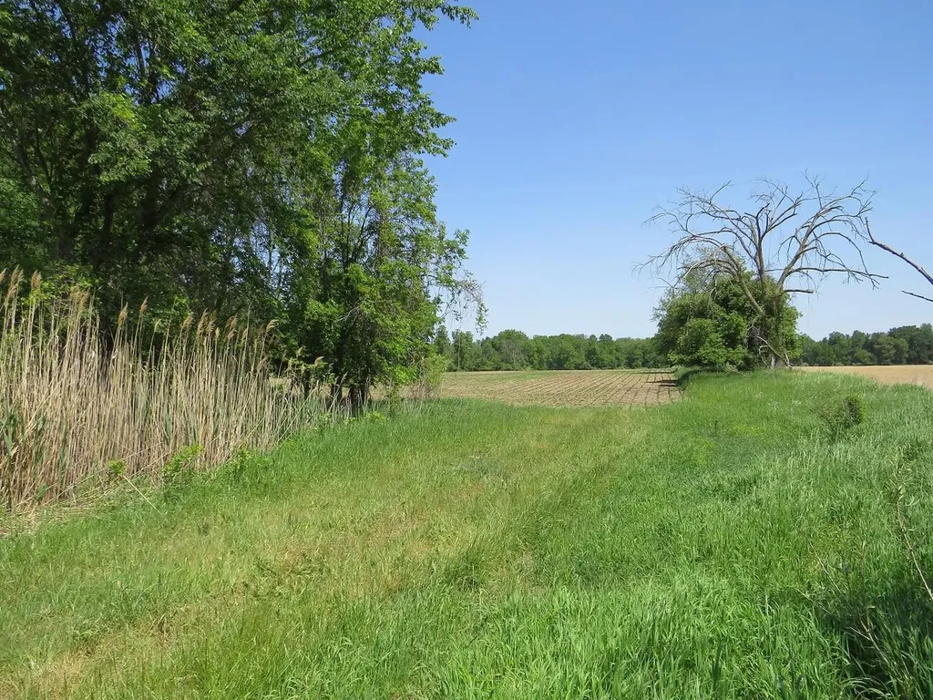 4670 Rescue Road Grant Township MI 48754