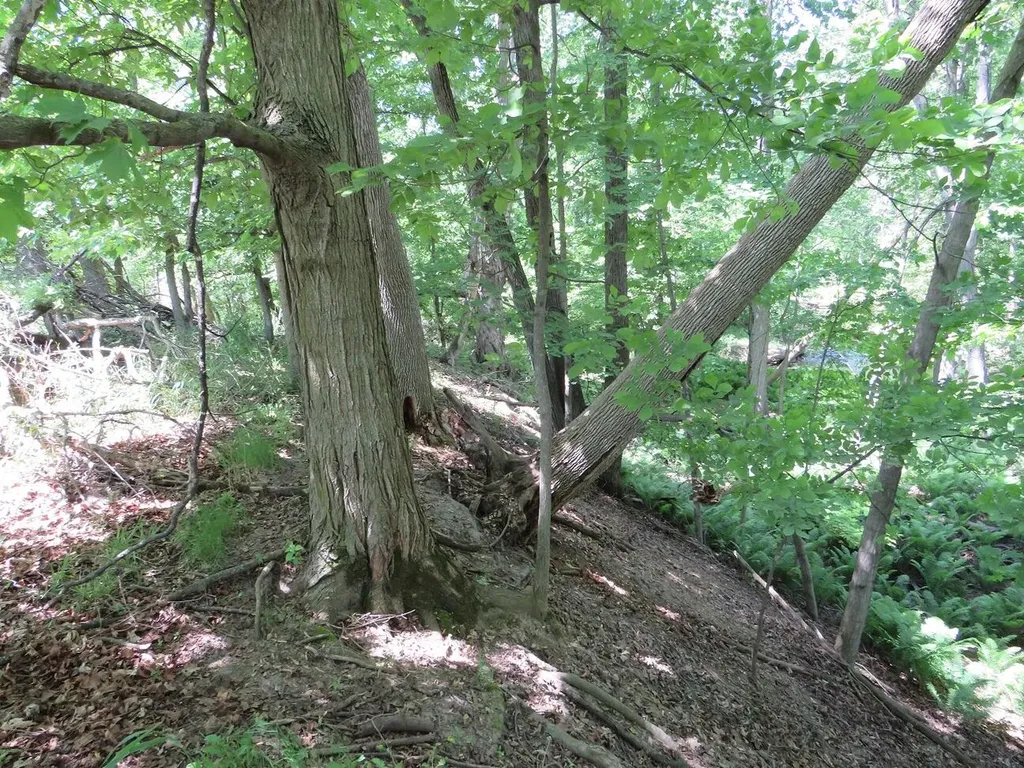 4670 Rescue Road Grant Township MI 48754