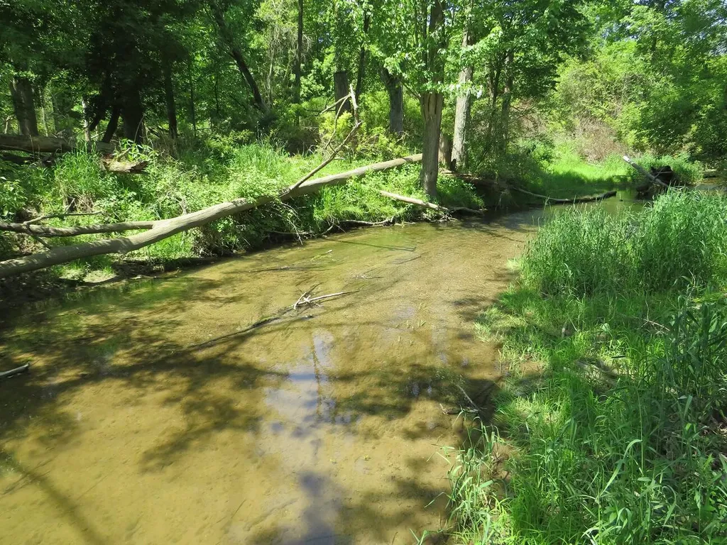 4670 Rescue Road Grant Township MI 48754