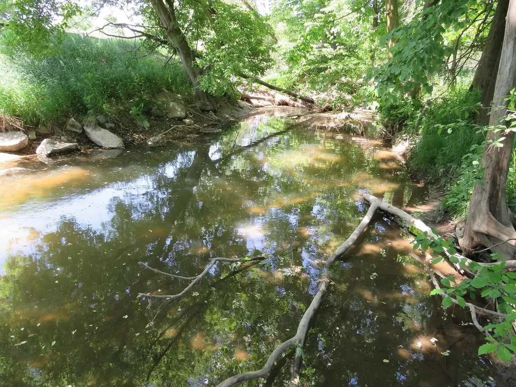 4670 Rescue Road Grant Township MI 48754