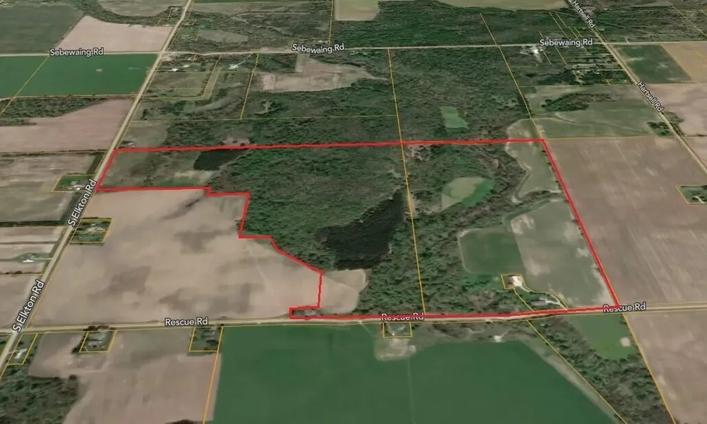 4670 Rescue Road Grant Township MI 48754