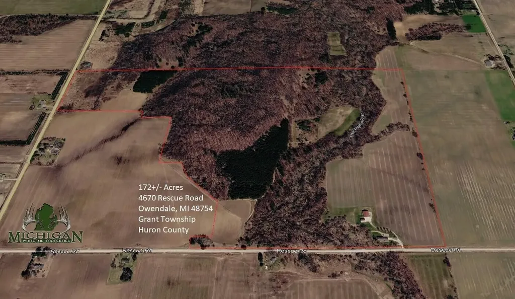 4670 Rescue Road Grant Township MI 48754