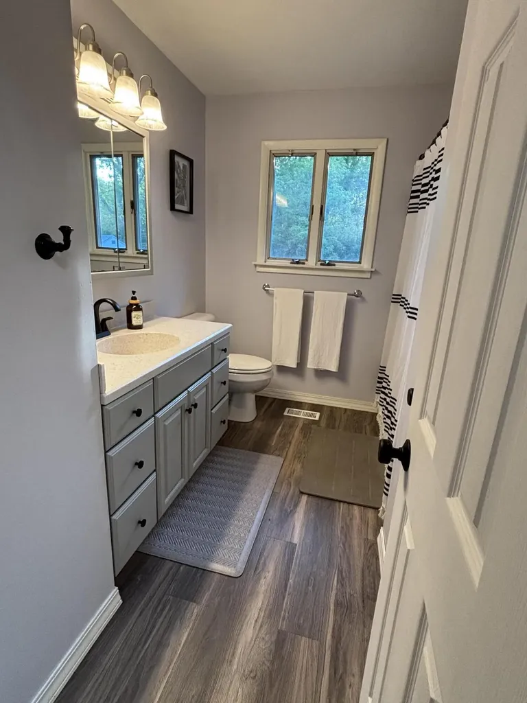 16124 Eskes Street Dewitt Charter Township MI 48906