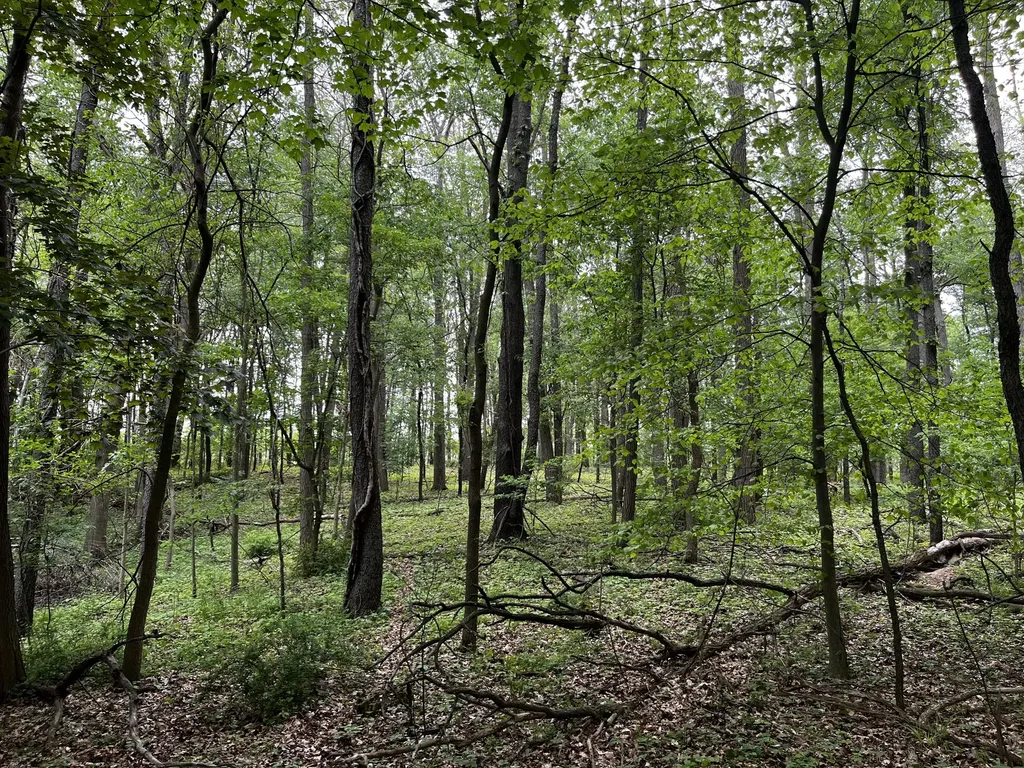 2831 Hemlock Road Reading Township MI 49082