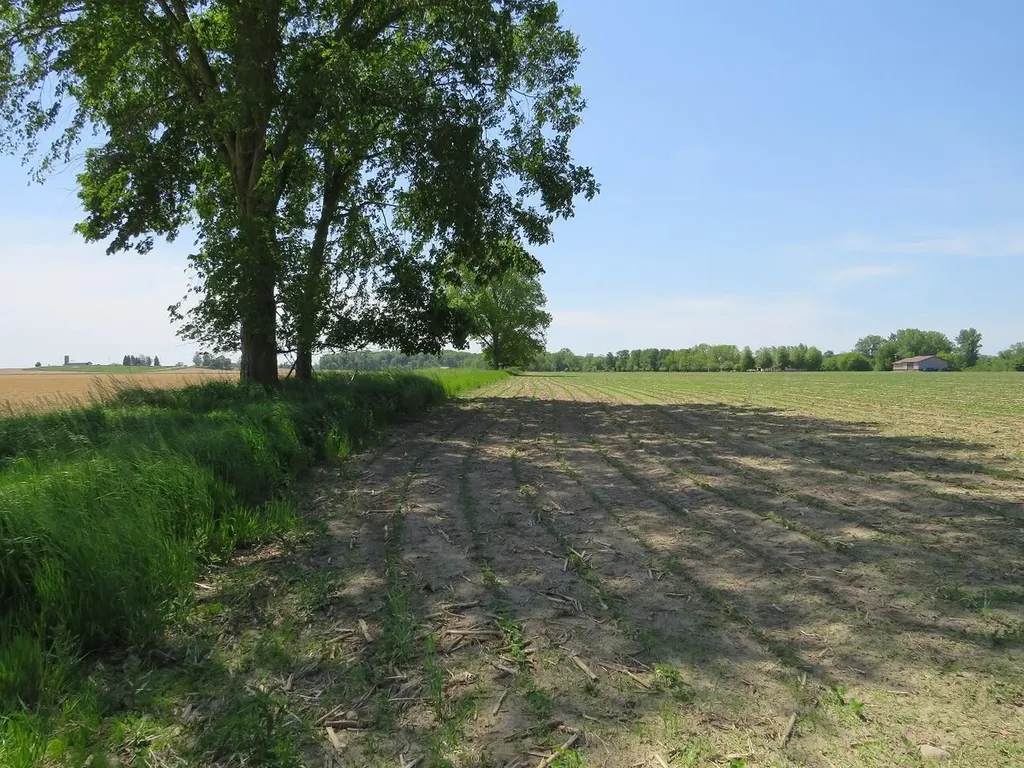 4670(B) Rescue Road Grant Township MI 48754