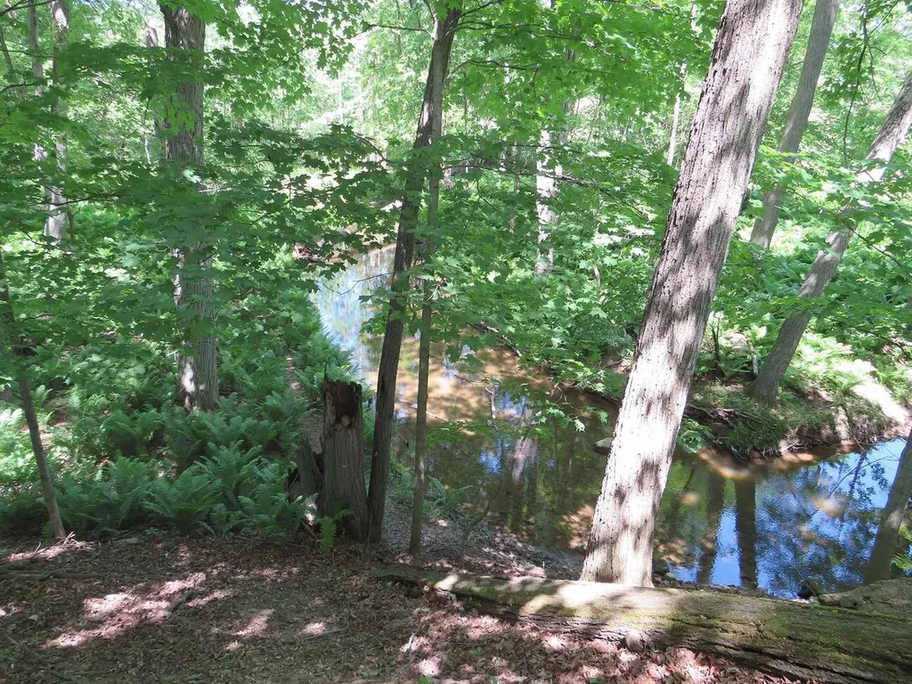 4670(B) Rescue Road Grant Township MI 48754
