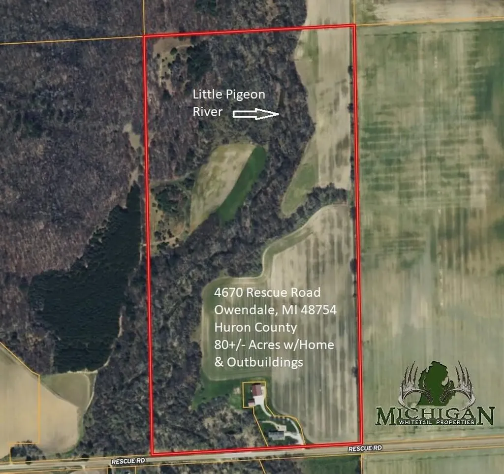 4670(B) Rescue Road Grant Township MI 48754