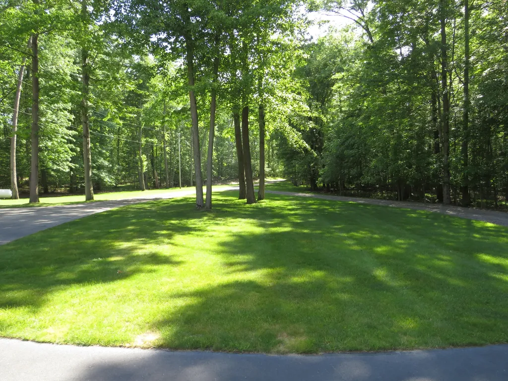 9593 Oakley Road St. Charles Township MI 48655