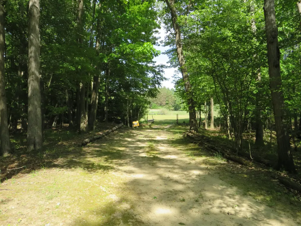 9593 Oakley Road St. Charles Township MI 48655