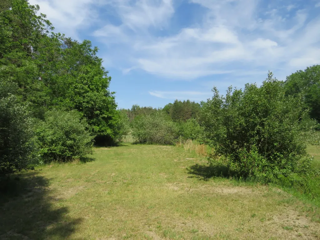 9593 Oakley Road St. Charles Township MI 48655
