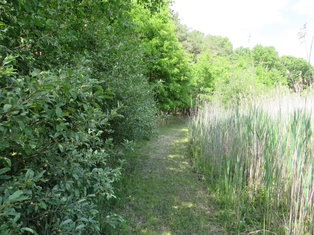 9593 Oakley Road St. Charles Township MI 48655