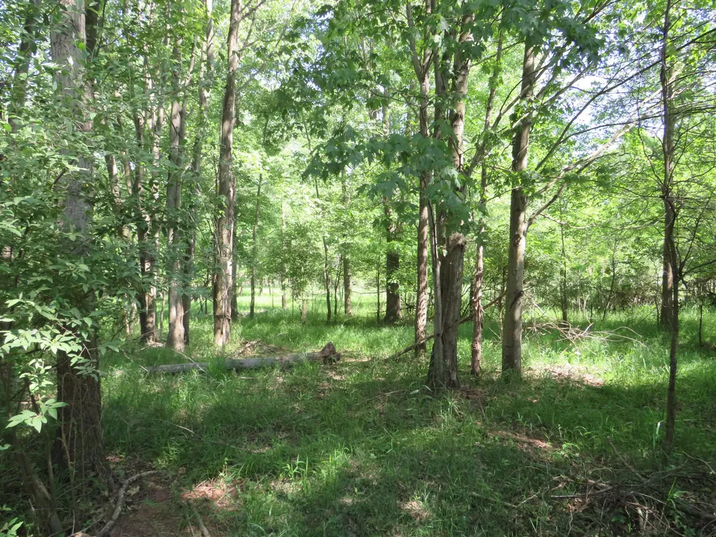 9593 Oakley Road St. Charles Township MI 48655