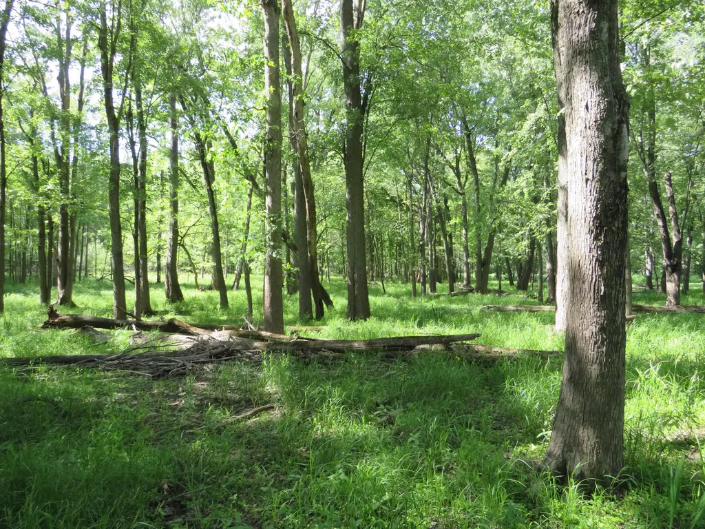 9593 Oakley Road St. Charles Township MI 48655
