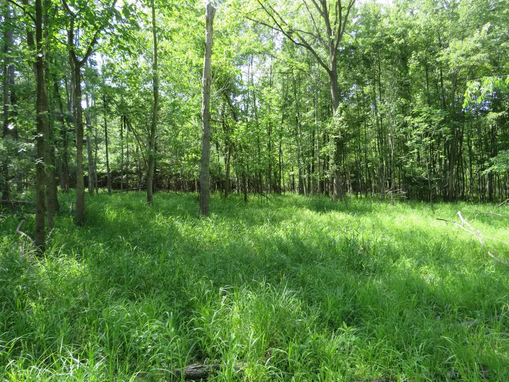 9593 Oakley Road St. Charles Township MI 48655