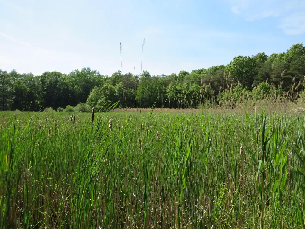 9593 Oakley Road St. Charles Township MI 48655