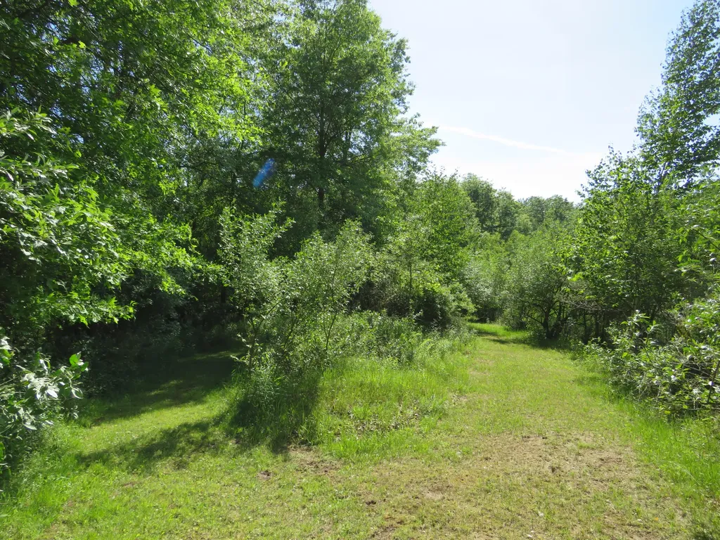 9593 Oakley Road St. Charles Township MI 48655