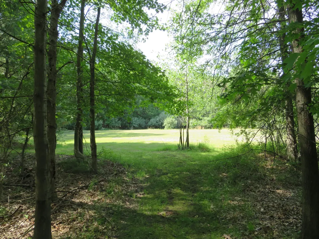 9593 Oakley Road St. Charles Township MI 48655