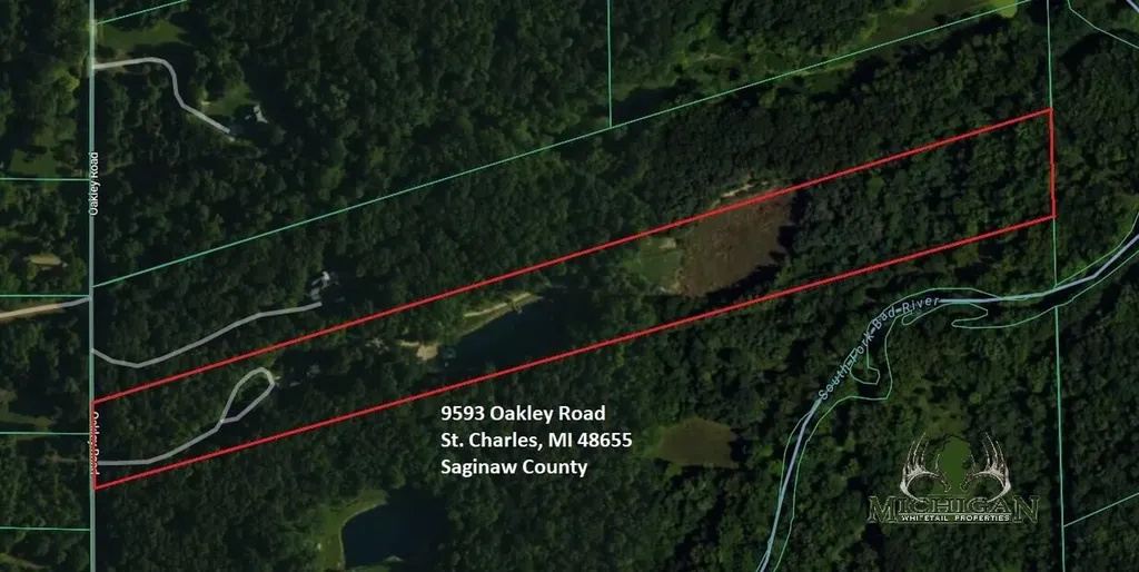 9593 Oakley Road St. Charles Township MI 48655