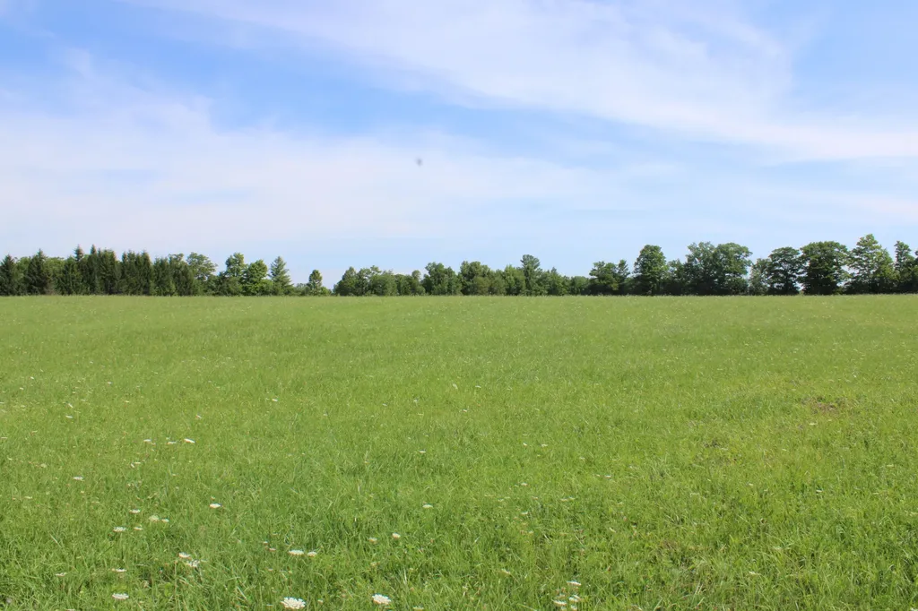 2812 Shoreline Drive Hill Township MI 48635