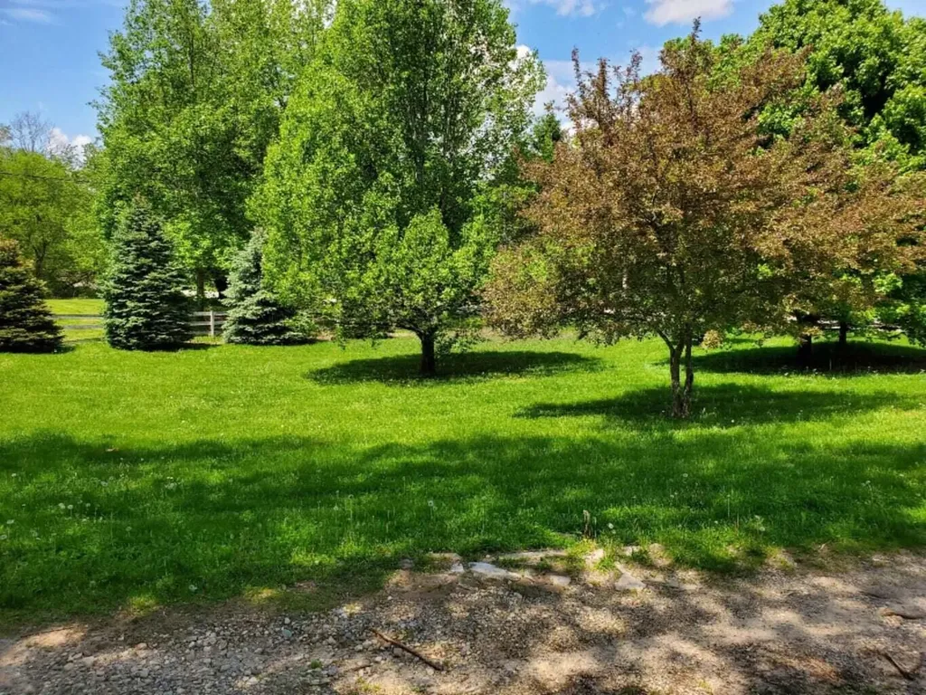 3151 E Bacon Road Adams Township MI 49242