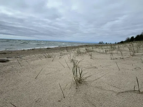 4010 Lake Shore Drive Norwood Township MI 49720