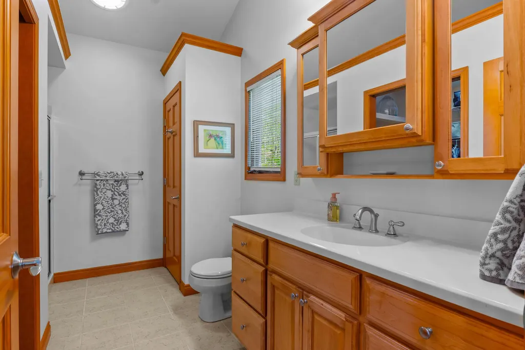 3500 Journeys End Drive Cambria Township MI 49242