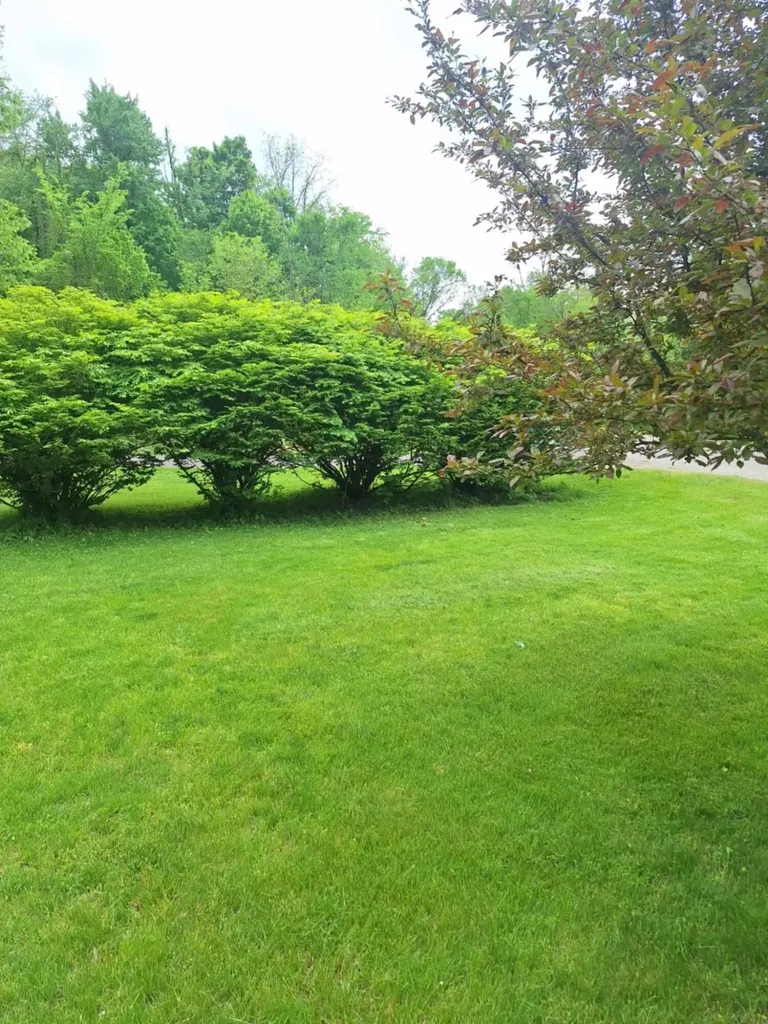 5211 Long Lake Road Reading Township MI 49274